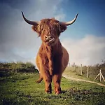 Overnachten Onder De Lange Jaap