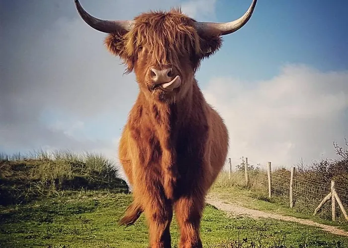 Overnachten Onder De Lange Jaap