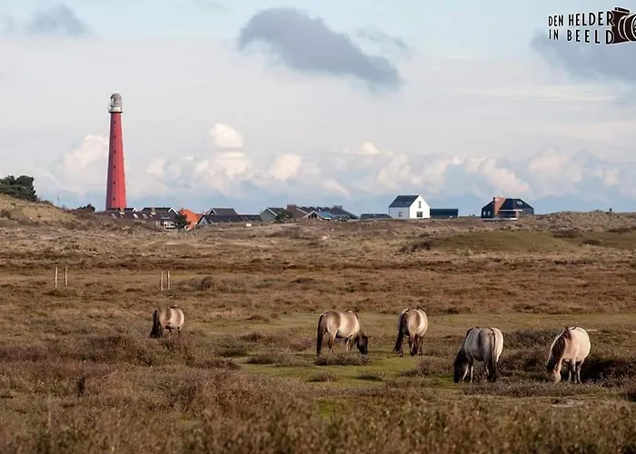 Overnachten Onder De Lange Jaap Den Helder